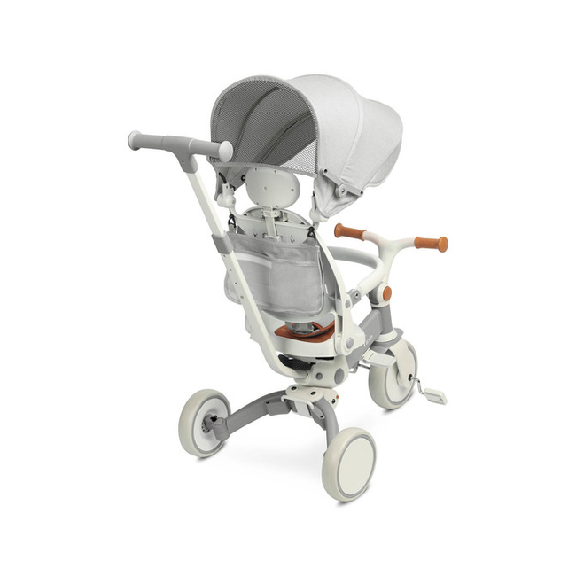 Caretero Faro 2 in 1 Reversible tricycle & balance bike Grey